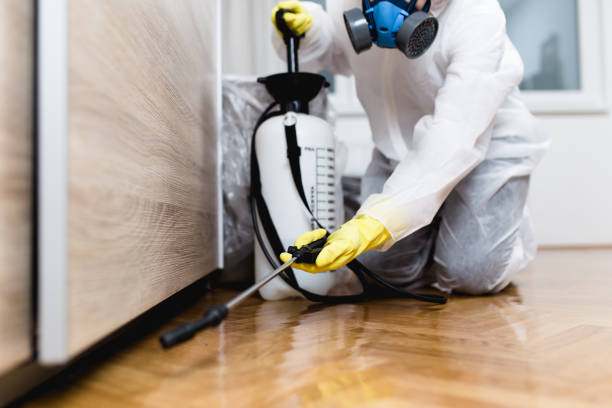Best Pest Removal Services  in Seminole, FL
