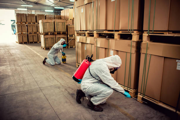 Best Pest Inspection Near Me  in Seminole, FL