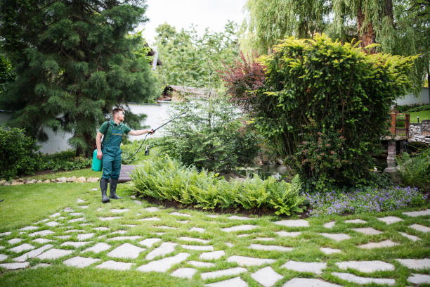 Best Best Pest Control Companies  in Seminole, FL
